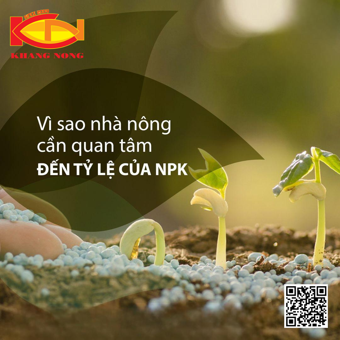  Vì sao nhà nông cần quan tâm và hiểu rõ tỷ lệ của NPK?